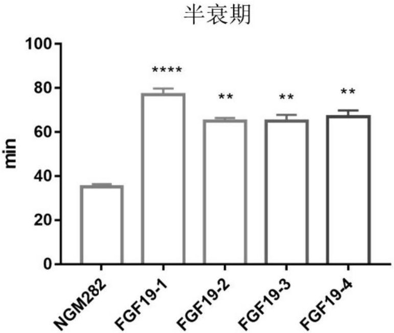 A novel anti-metabolism FGF analogue and its application