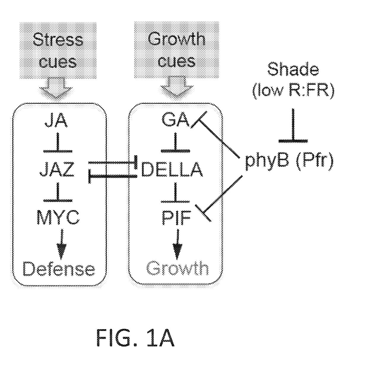 Transcription factors to improve resistance to environmental stress in plants