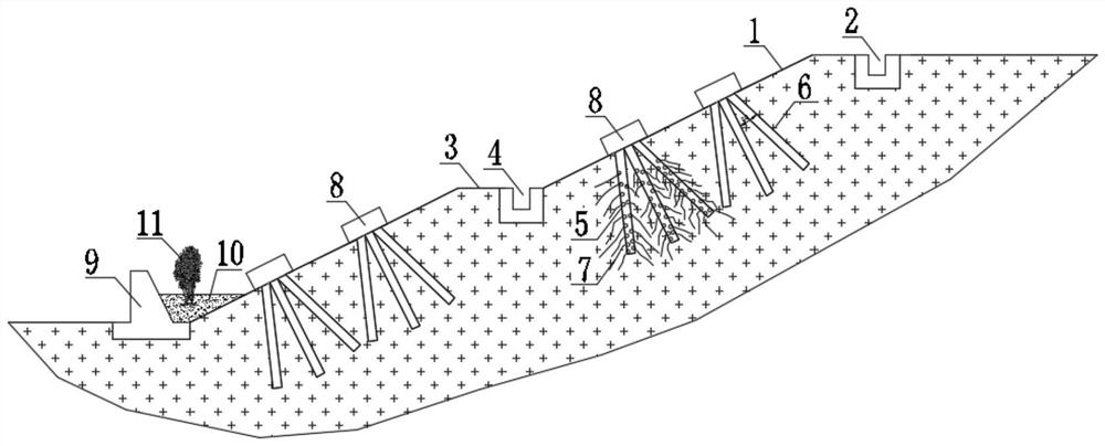 Slope treatment method