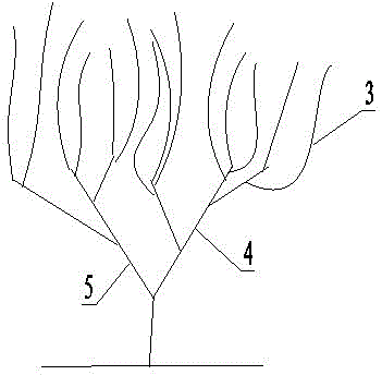 V-shaped grape trellis and grape cultivation method