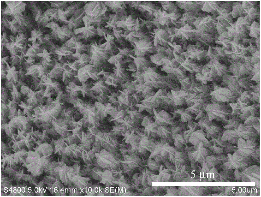 Mesoporous Co3O4 nano-wire @ NiCo2O4 nanoplate graded core-shell array material, preparation method and application