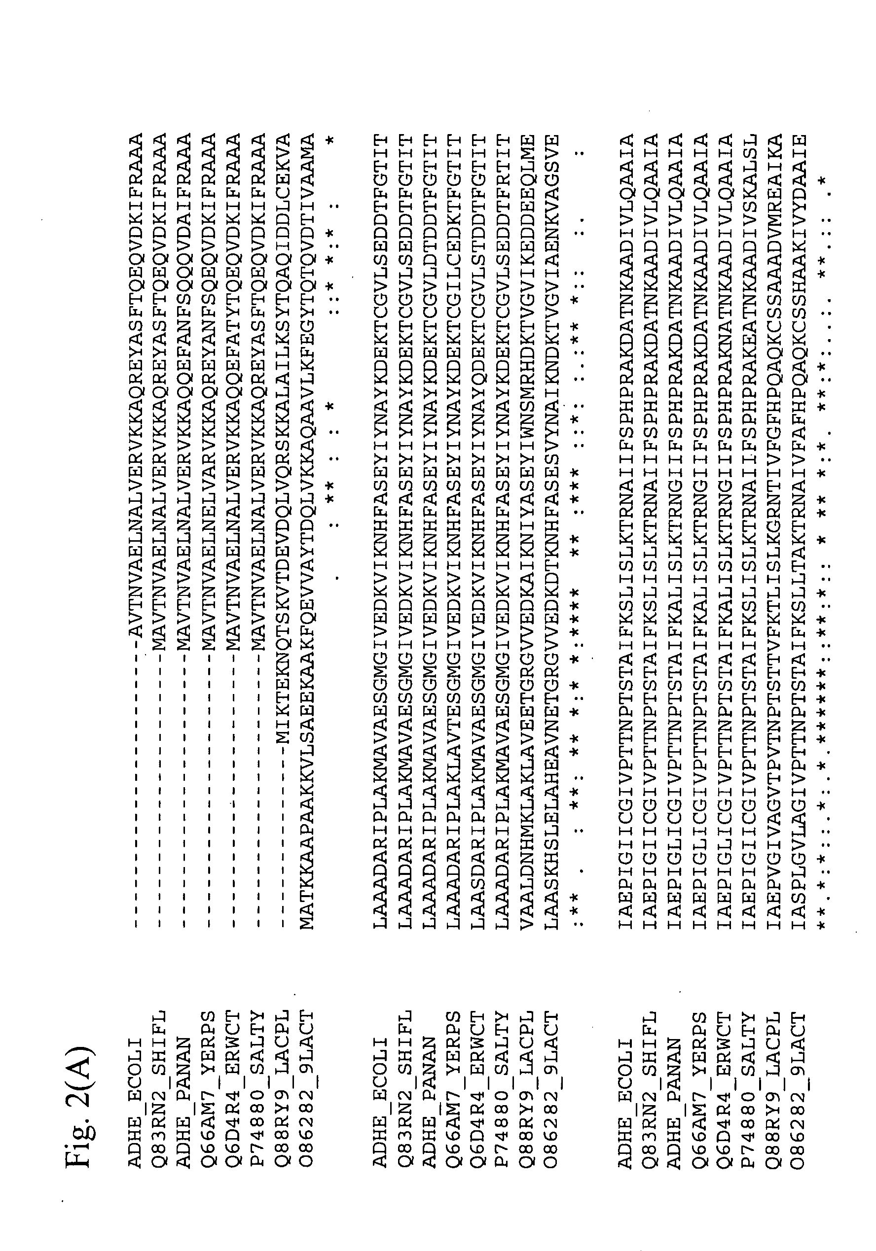 Method for producing an l-amino acid using a bacterium of the enterobacteriaceae family