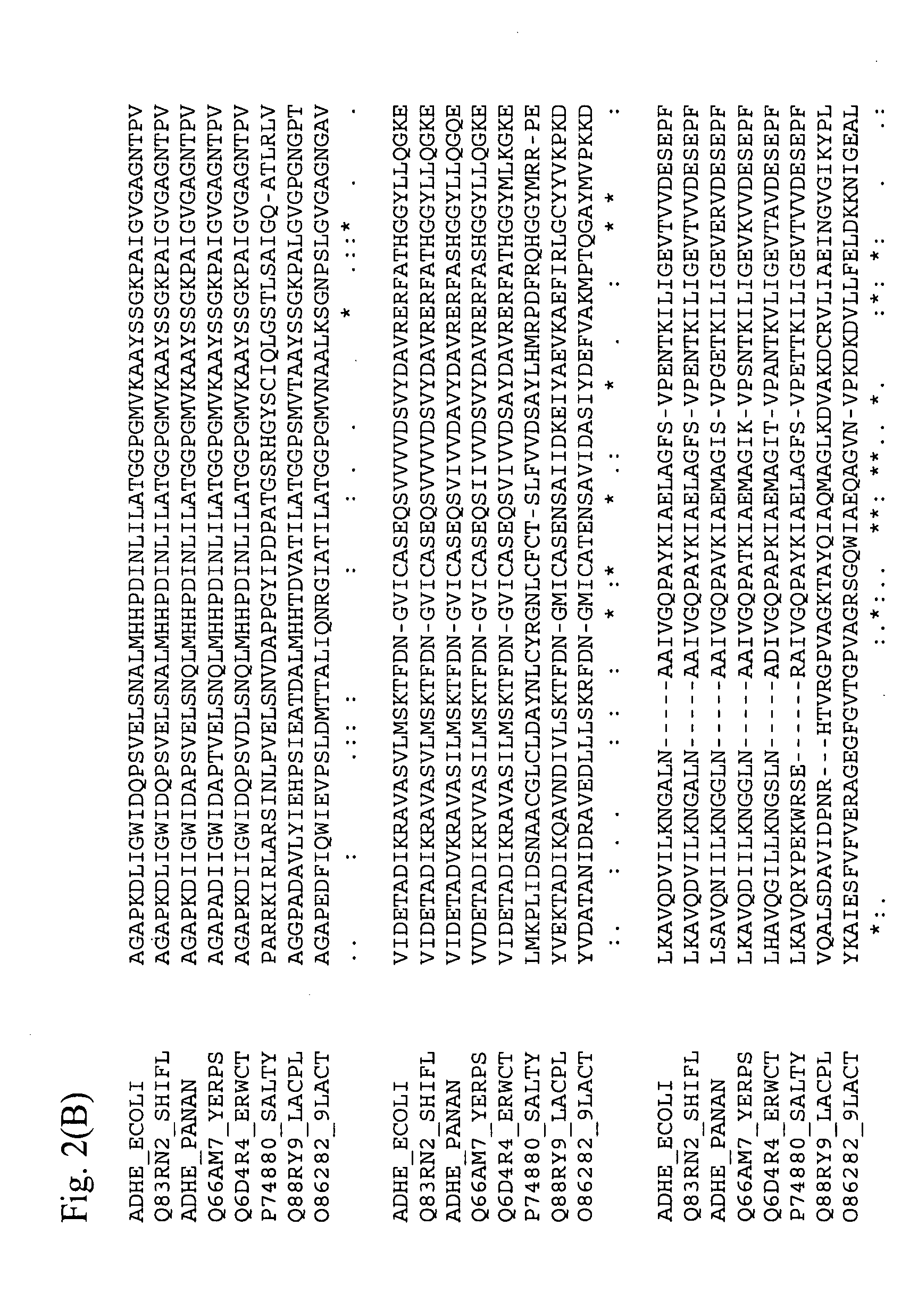 Method for producing an l-amino acid using a bacterium of the enterobacteriaceae family