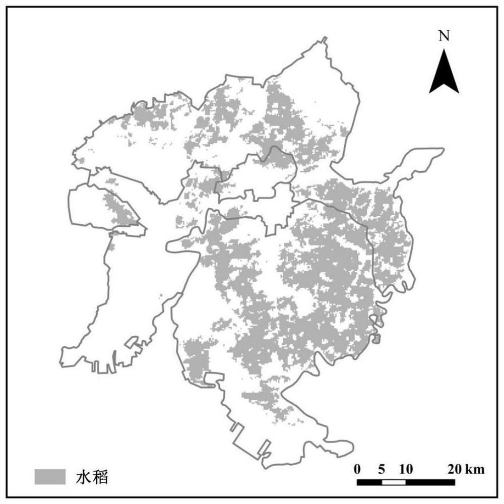 Rice planting distribution extraction method based on wind cloud satellite data