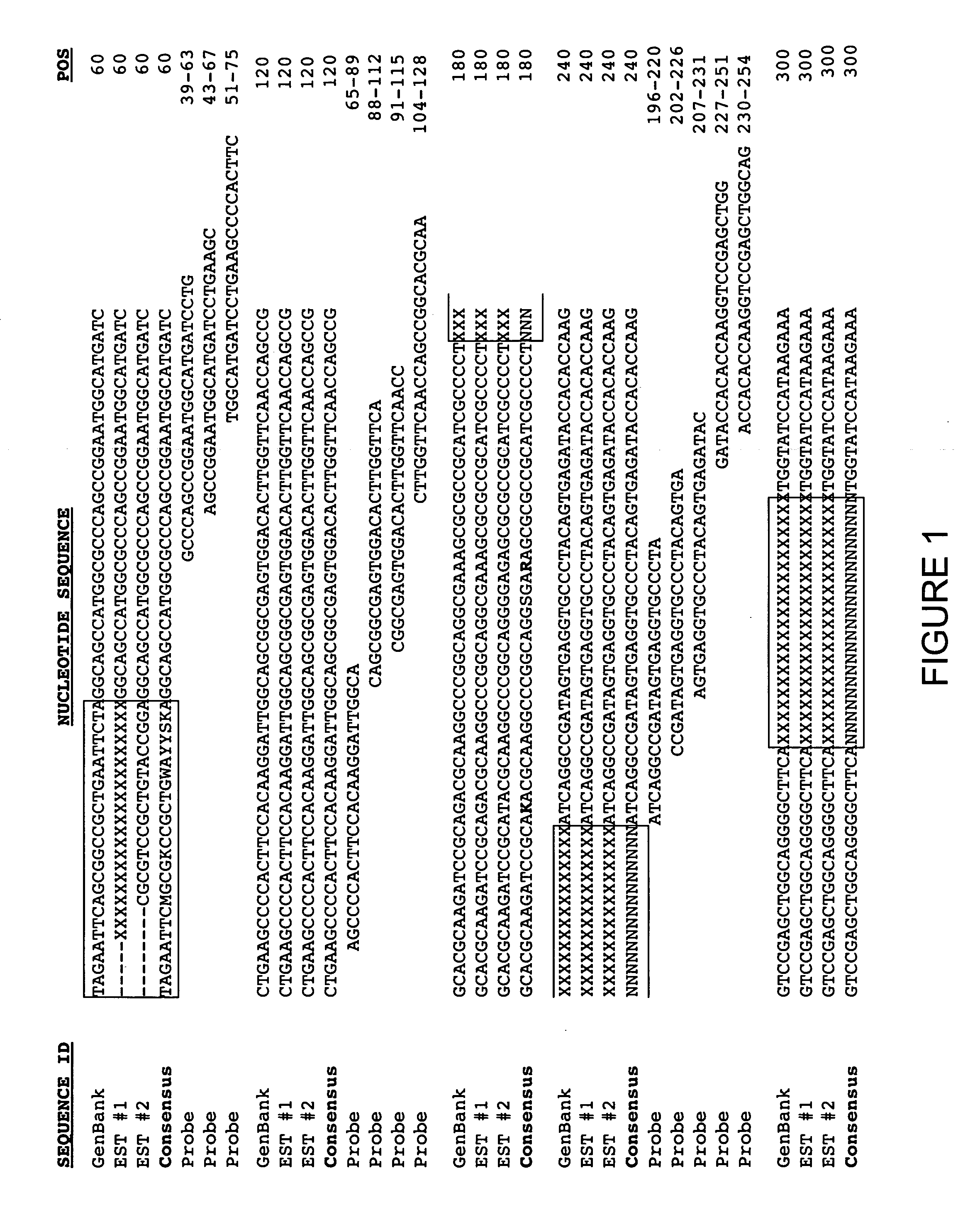 Oligonucleotide arrays to monitor gene expression and methods for making and using same