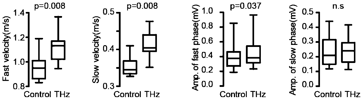 A brain neurostimulation device for enhancing the cognitive function of the brain