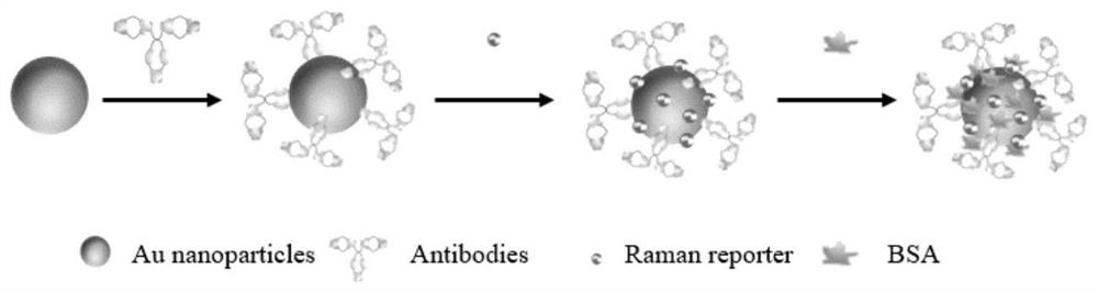 Special detection mask and method for Raman immune probe for respiratory virus collection and detection