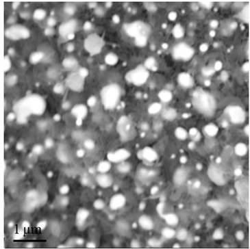 One-step synthetic method to prepare fe  <sub>3</sub> o  <sub>4</sub> /Mesoporous carbon composite material and method for catalytic oxidation degradation of sulfamethazine