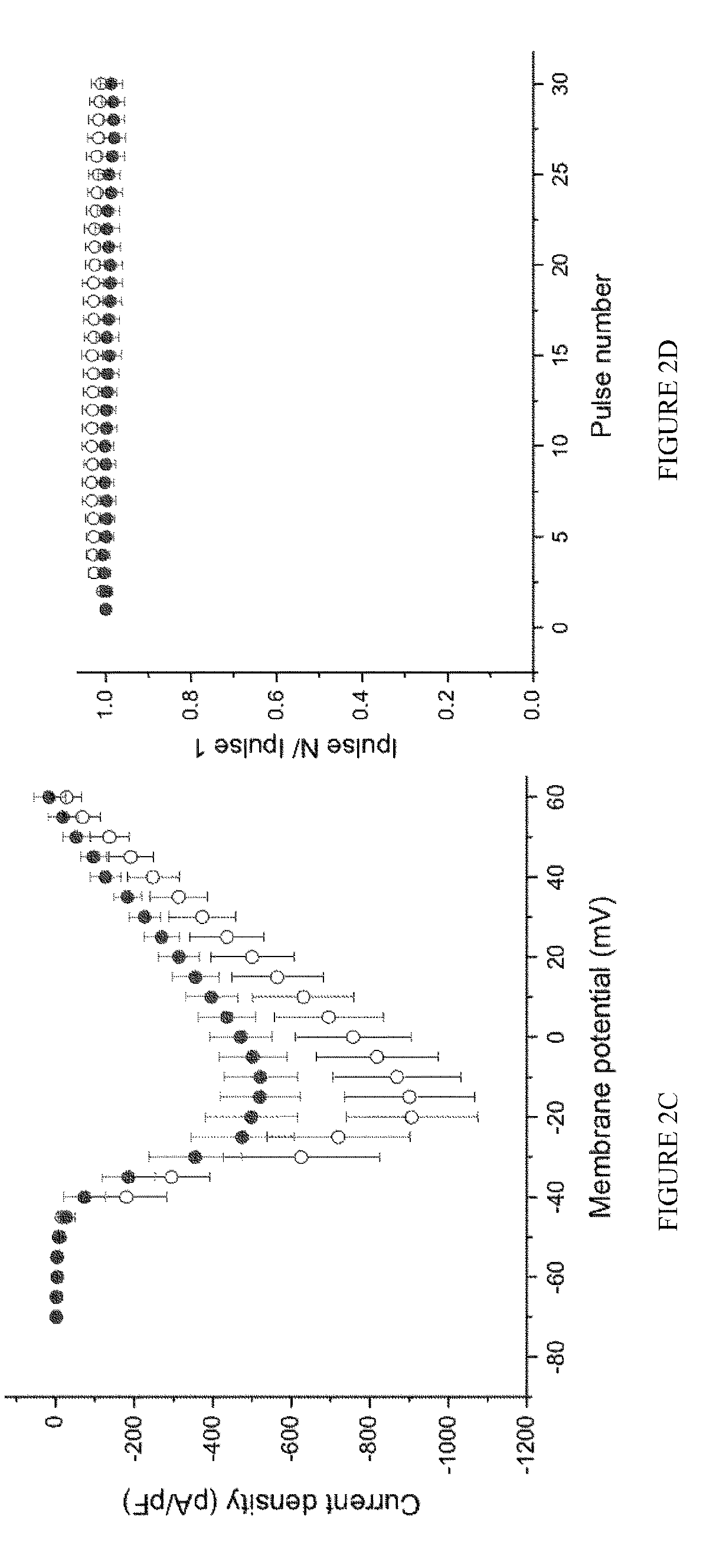 CRMP2 SUMOylation inhibitors and uses thereof