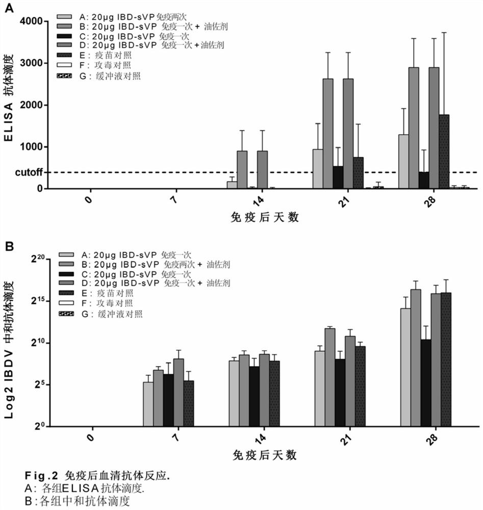 Recombinant yeast strain expressing chicken infectious bursal virus virus-like particle and its expressed protein and application