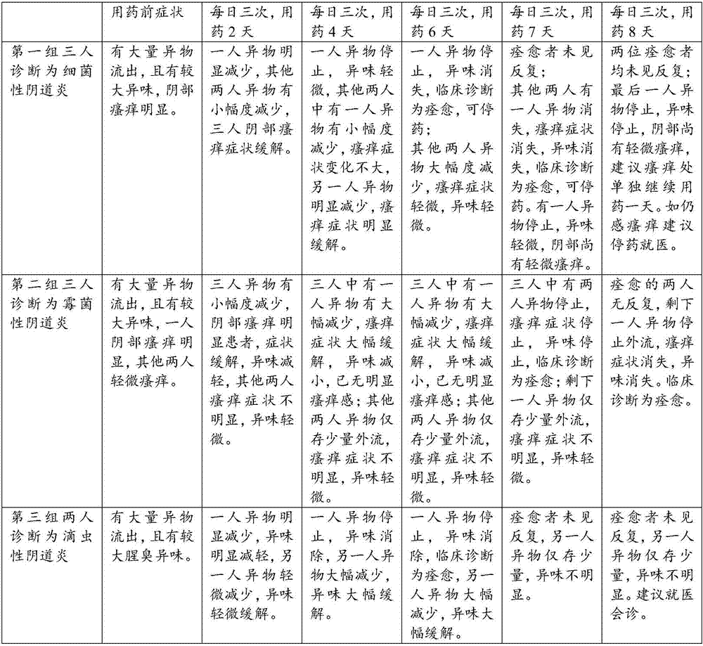 Traditional Chinese medicine gel for treating gynecologic inflammation and preparation method thereof