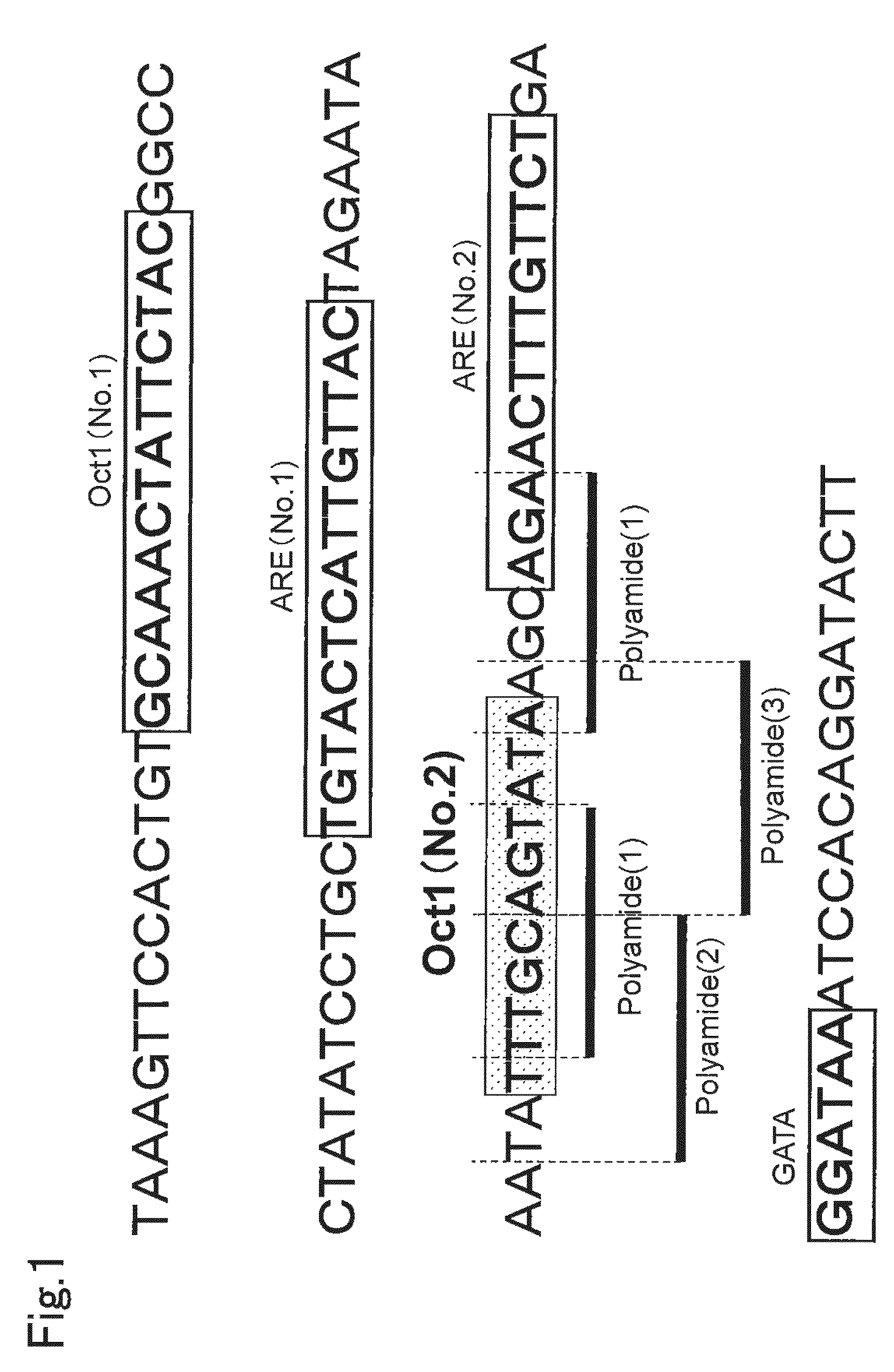 PI polyamide