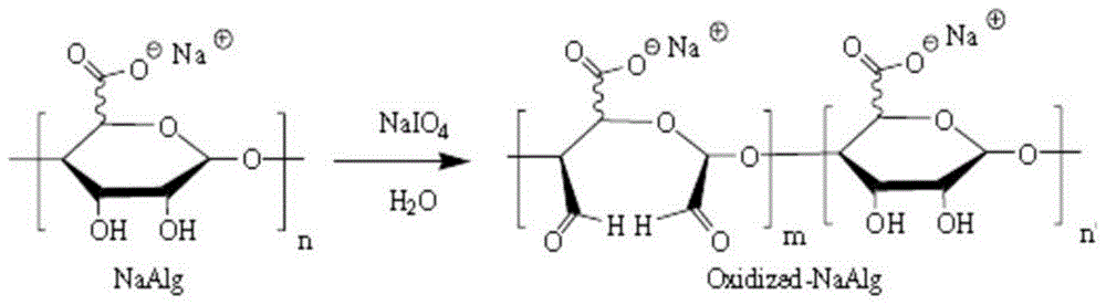 A hydroxyethyl chitosan in situ hydrogel for repairing corneal ocular surface damage