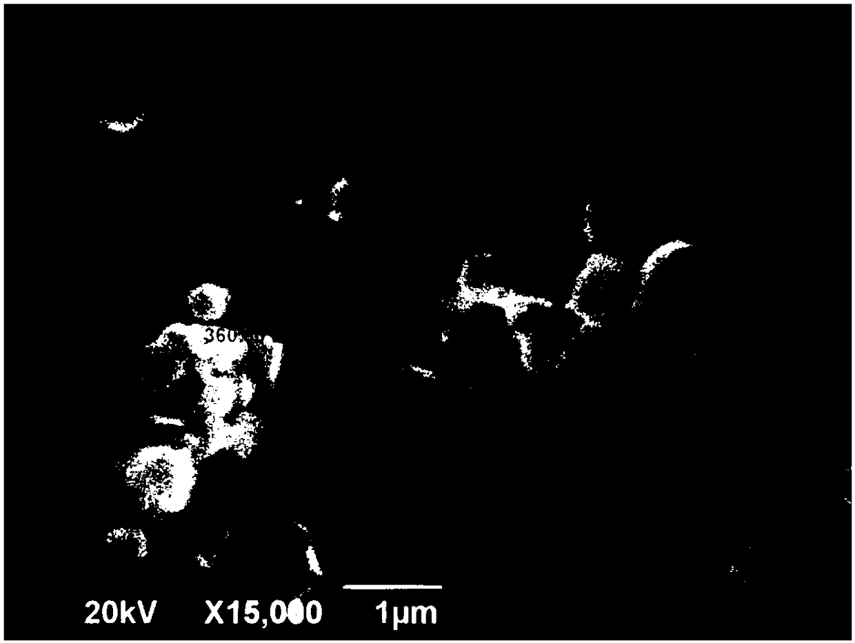 Single-phase multi-ferroic material and preparation method thereof