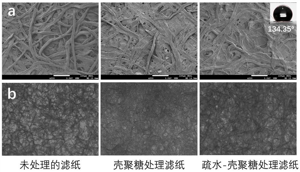 High-repeatability hydrophobic paper surface-enhanced Raman substrate, preparation method thereof and application of high-repeatability hydrophobic paper surface-enhanced Raman substrate in drug detection