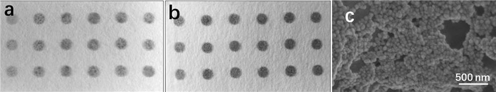 High-repeatability hydrophobic paper surface-enhanced Raman substrate, preparation method thereof and application of high-repeatability hydrophobic paper surface-enhanced Raman substrate in drug detection