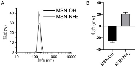 Nanoparticles cooperating with NO gas treatment and enhancing sonodynamic therapy effect as well as preparation method and application of nanoparticles