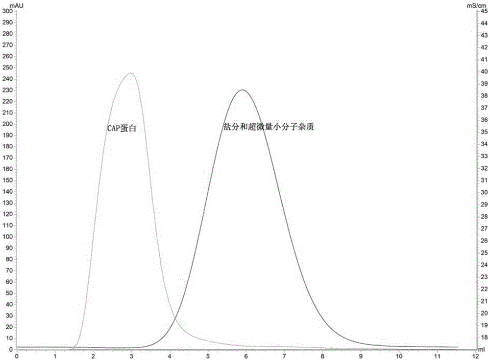 Chromatographic method for separating and purifying high-purity porcine circovirus Cap proteins