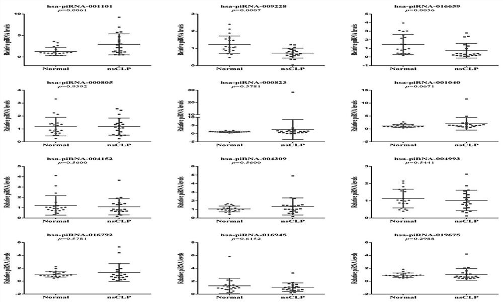 Molecular marker for prenatal noninvasive diagnosis of fetuses with cleft lip and palate, neural tube malformation and congenital heart disease and application of molecular marker