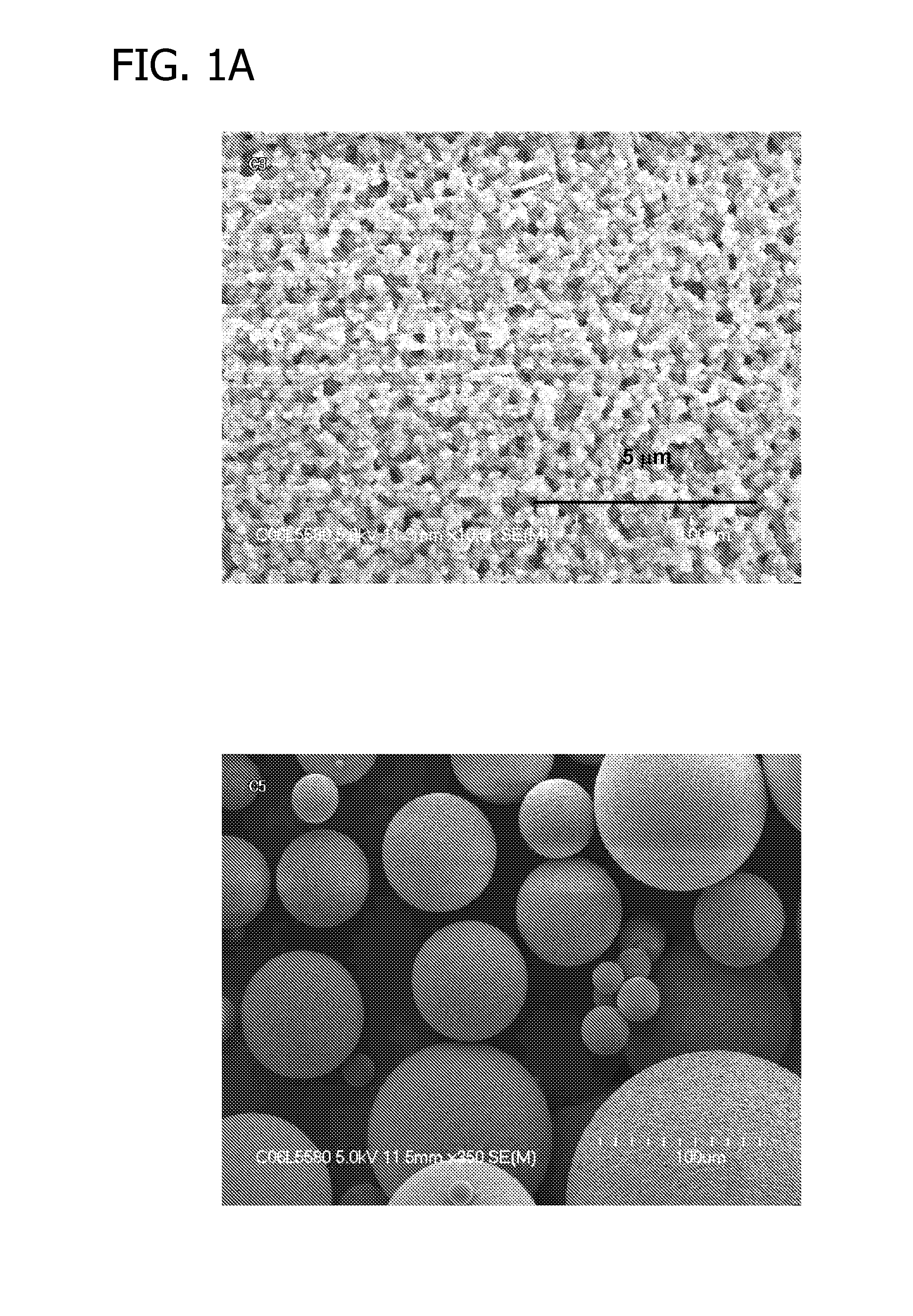 Crosslinked cation exchange polymers, compositions and use in treating hyperkalemia