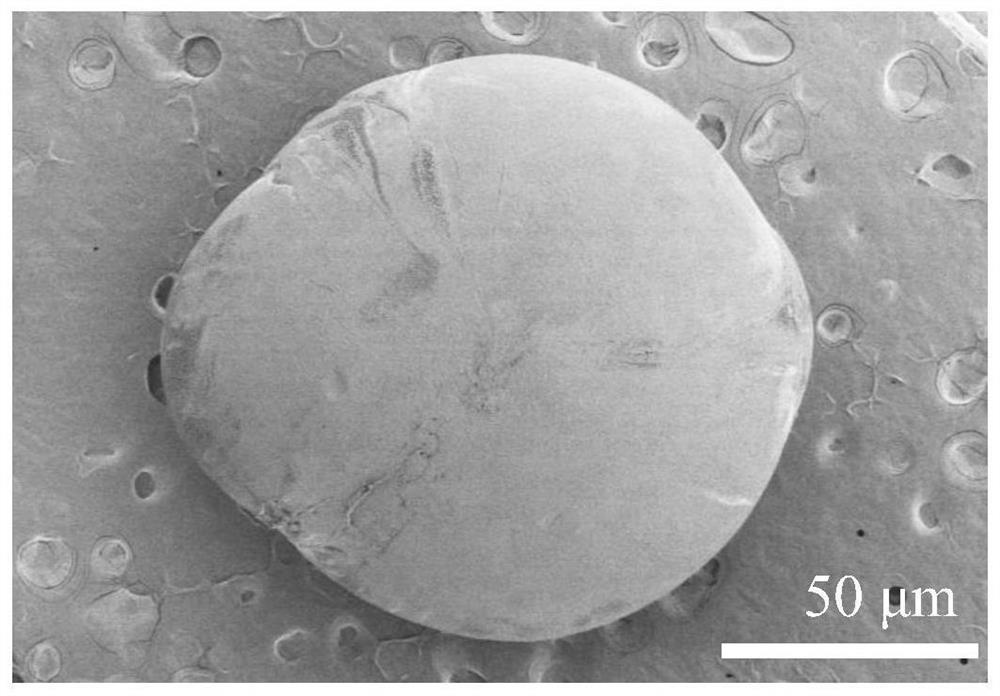 Polyimide slurry and polyimide film