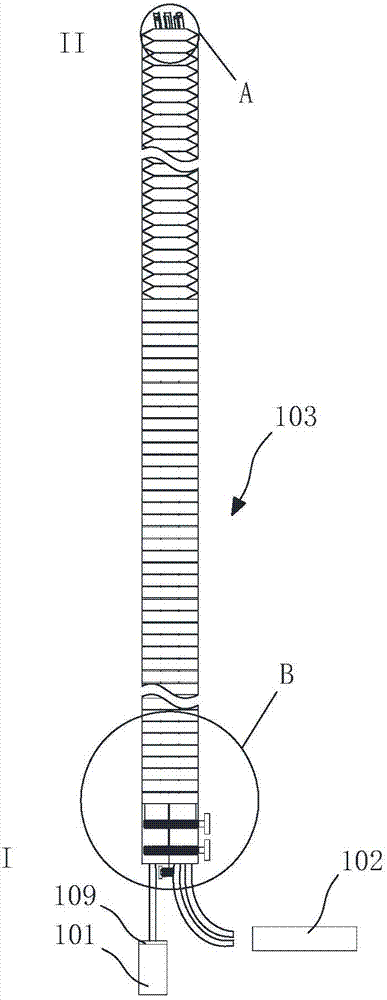 Nasal trachea cannula inspectoscope