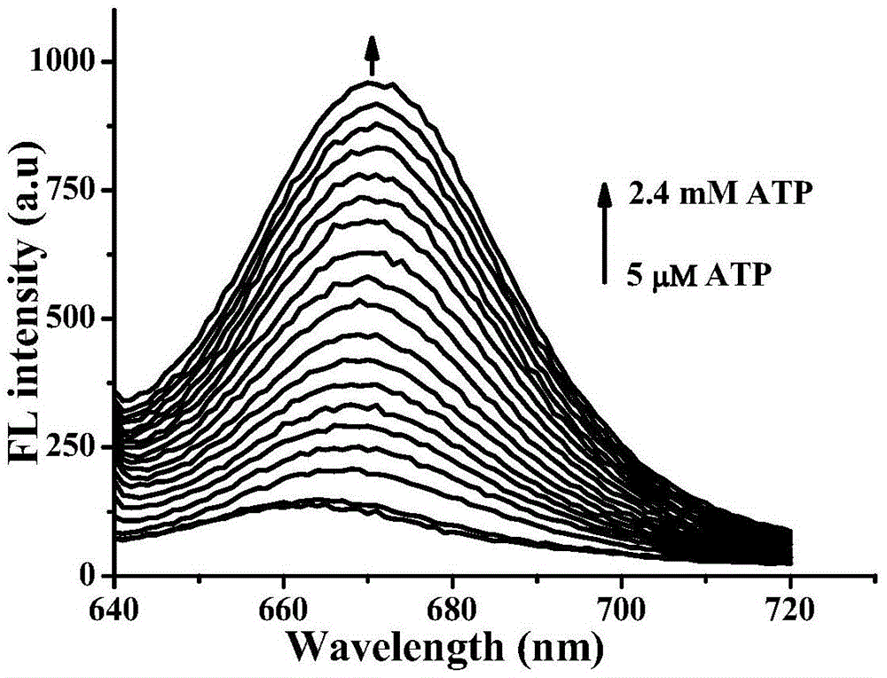 Preparation method of ATP (adenosine triphosphate) near infrared fluorescent probe