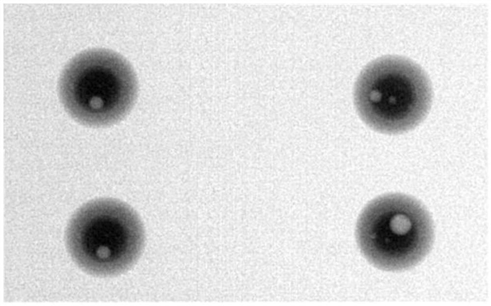 Tin plating solution, preparation method and application thereof