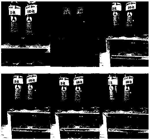 Preparation method of hydrophobic modified diamond abrasive