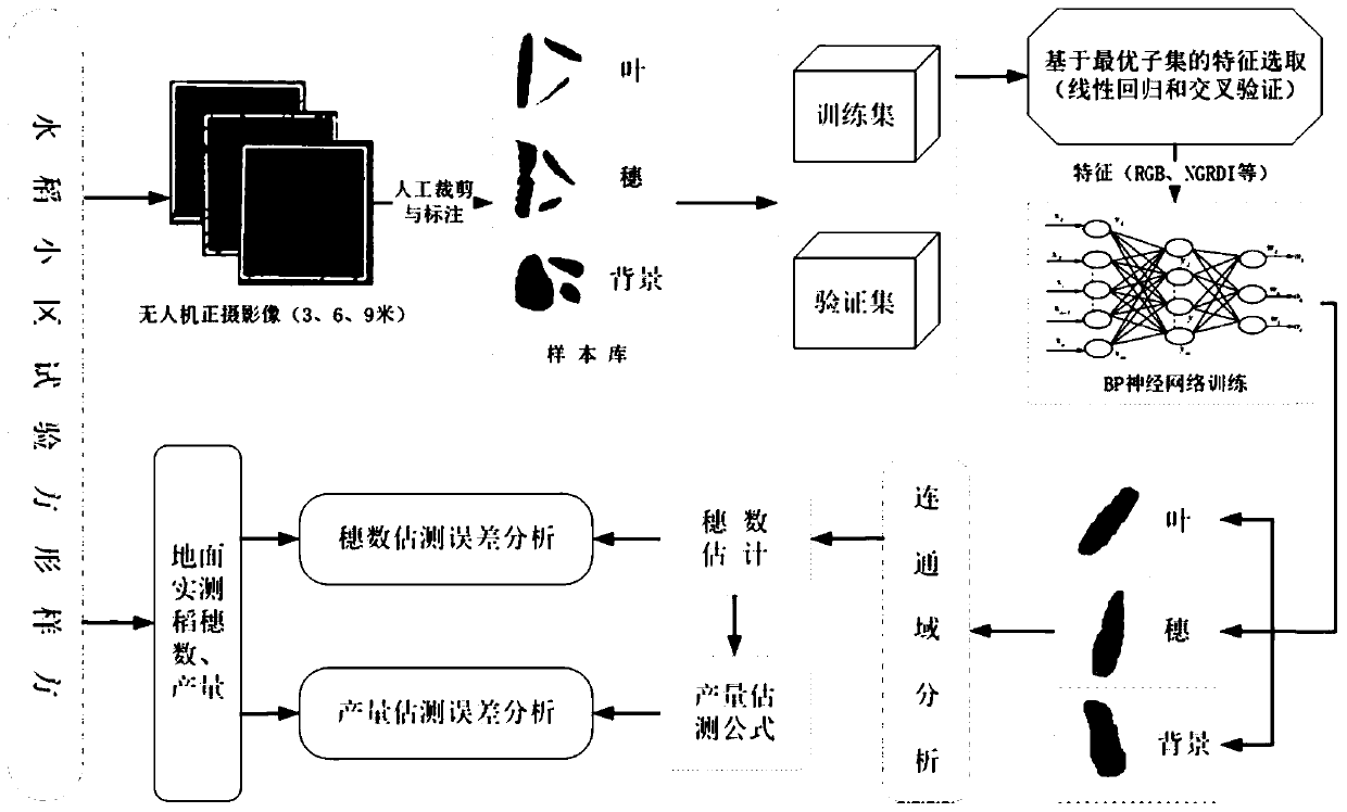 Rice yield estimation method based on unmanned aerial vehicle digital images