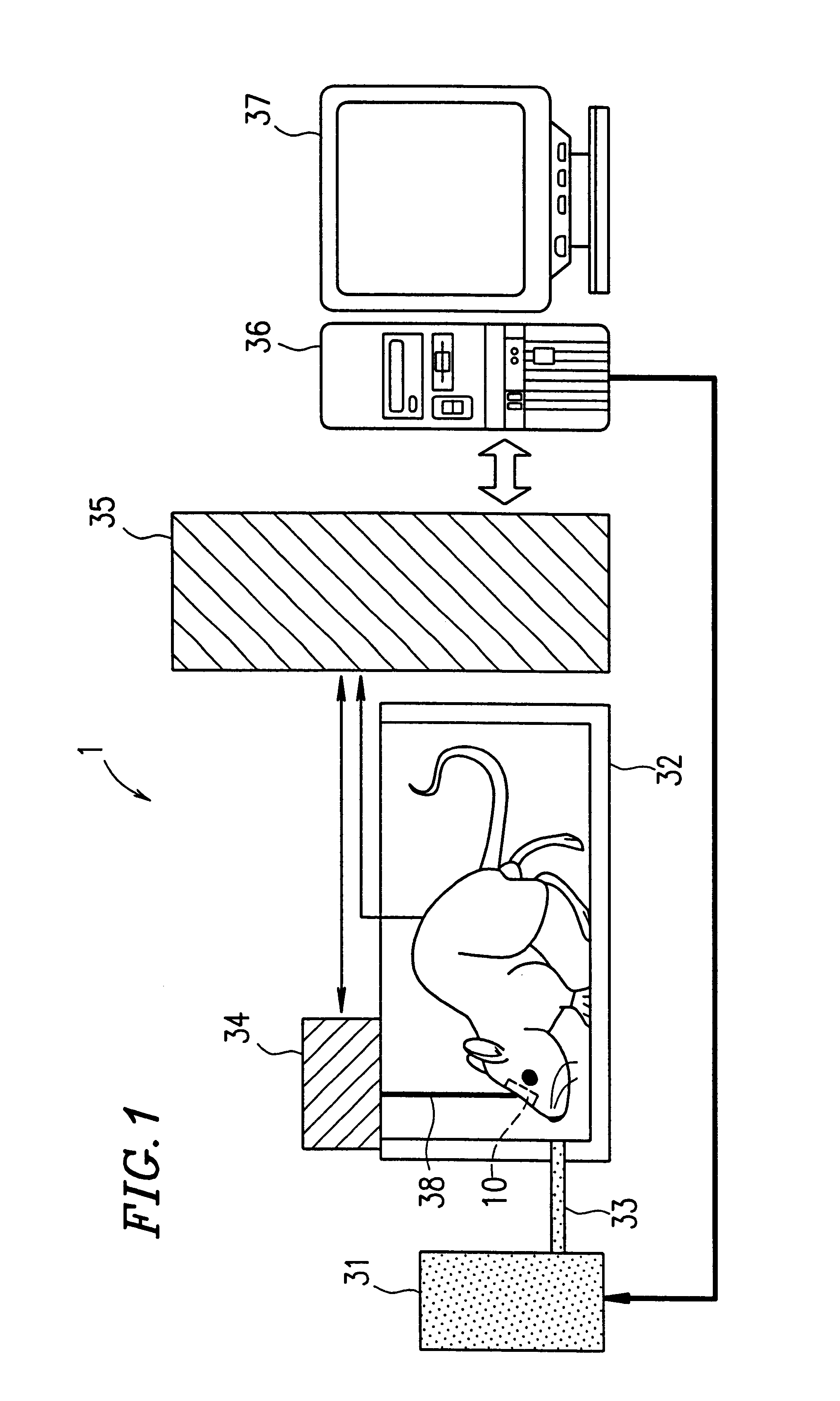 Apparatus and method for screening, olfactory mucosa stimulating compound found by the screening method, and therapeutic apparatus and electrode section for measurement
