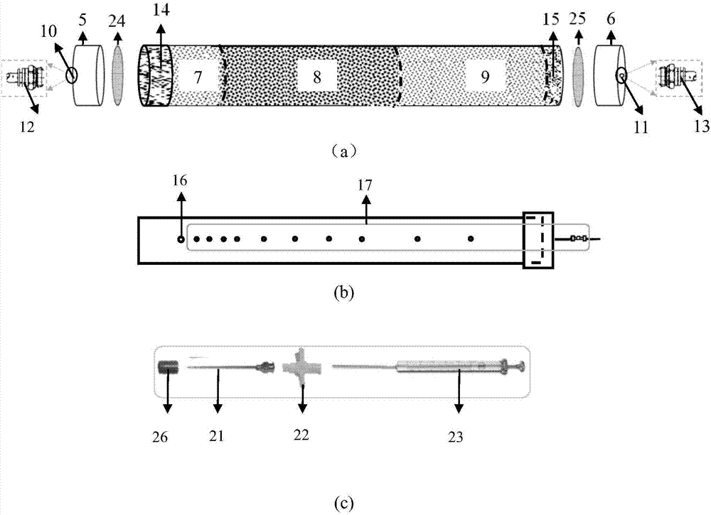 Experimental facility and method for remediating saturated water-bearing layer chlorinated hydrocarbon DNAPL pollution source based on zero-valent iron-PRB reduction
