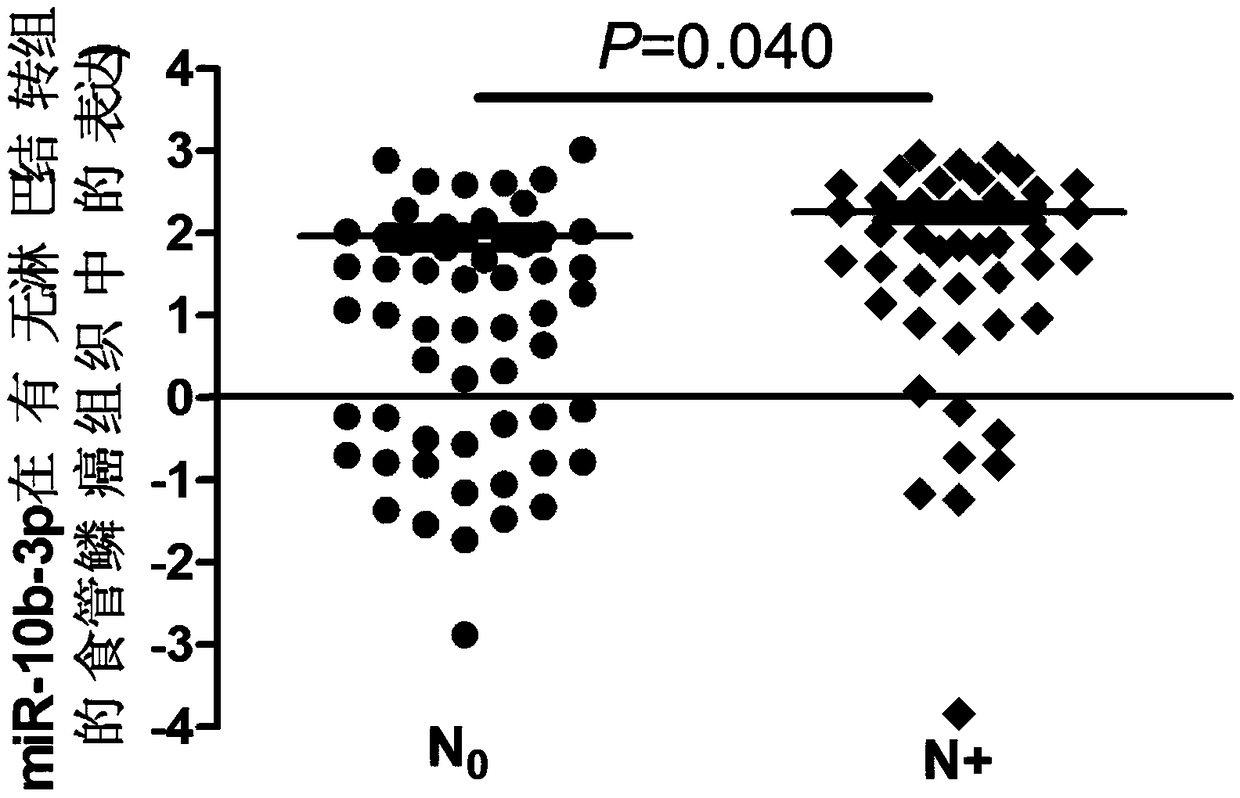 Marker microRNA-10b-3p for detecting esophageal squamous carcinoma and application in kit