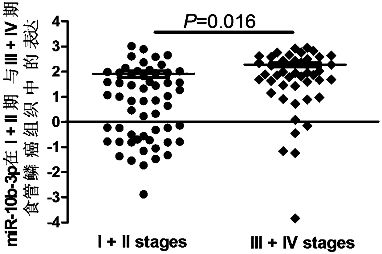 Marker microRNA-10b-3p for detecting esophageal squamous carcinoma and application in kit