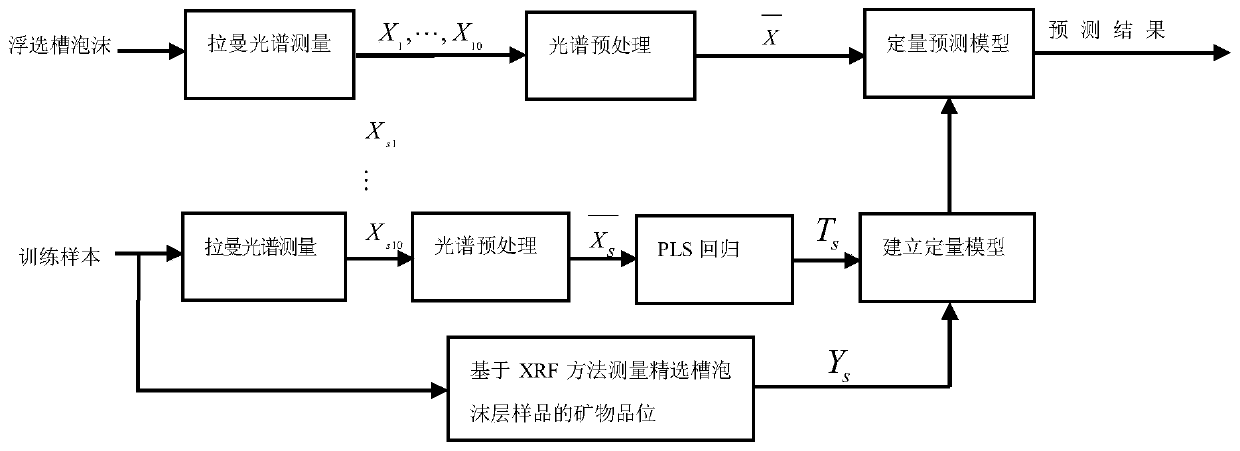 Optical fiber Raman system and method for tungsten flotation concentrate grade online detection