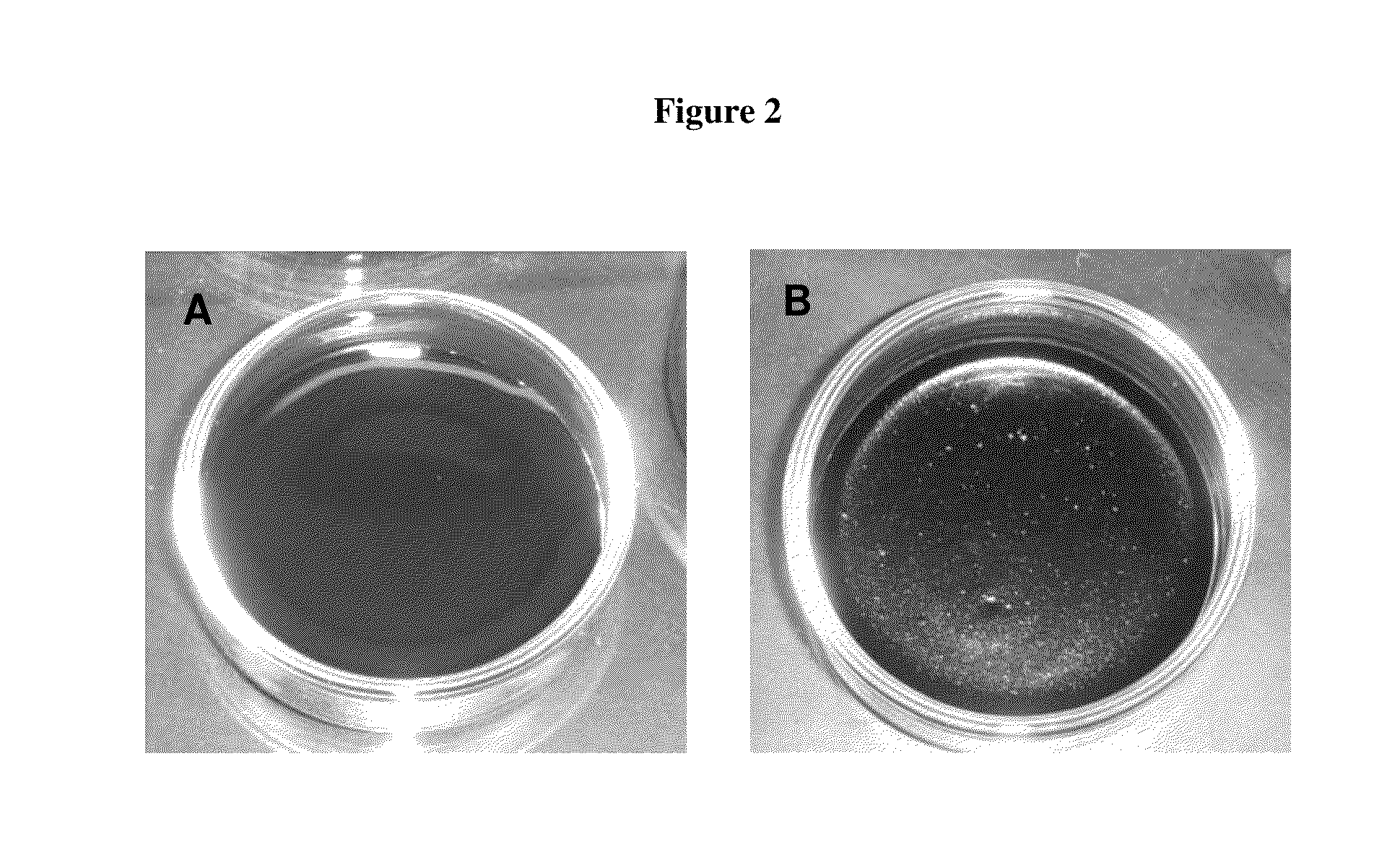 Method of making cohesive carbon assembly and its applications