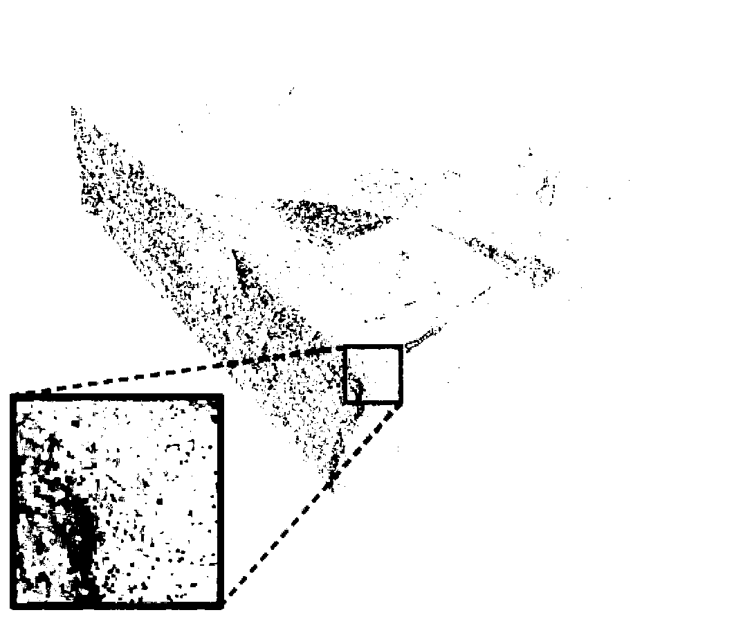 Device and method for point cloud optimization