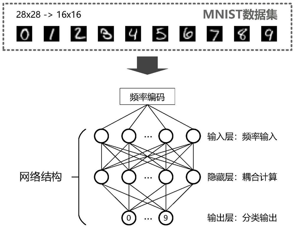 Information content confirmation method and system based on oscillation neural network