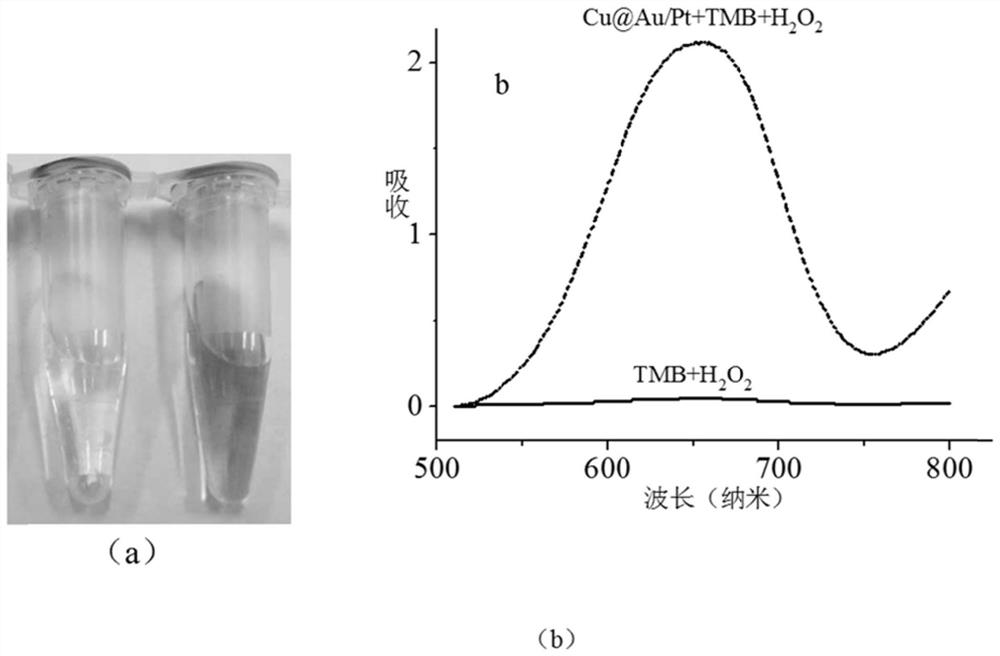 A preparation method of copper-gold-platinum composite nanomaterial and its application in the detection of cysteine