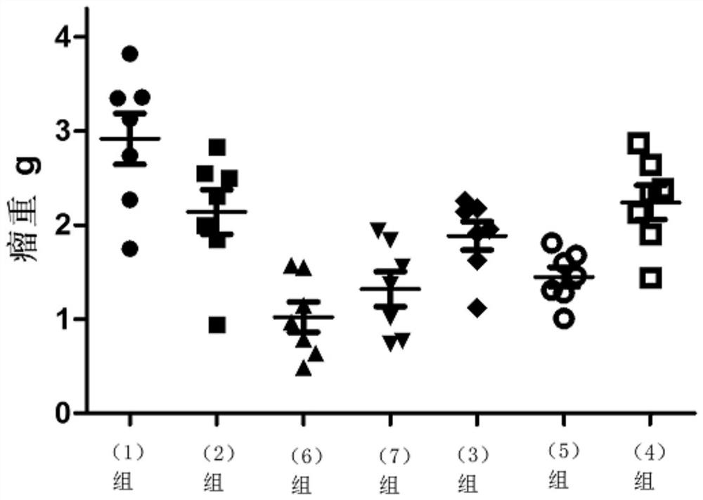 Compound with TDO and IDO1 dual inhibitory activity, and application of compound in preparation of drugs for treating neurodegenerative diseases