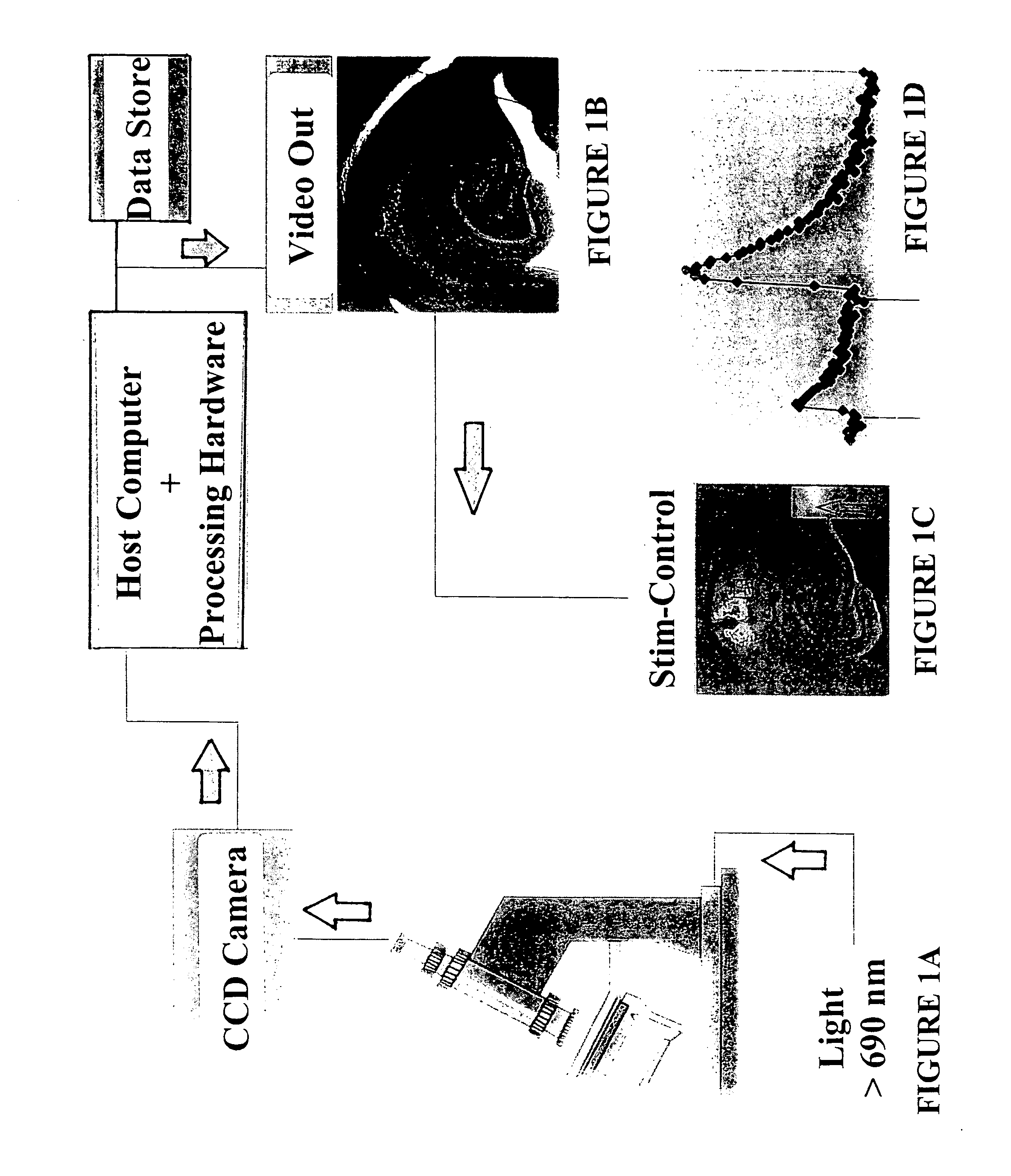 Methods and systems for assessing biological material using optical detection techniques