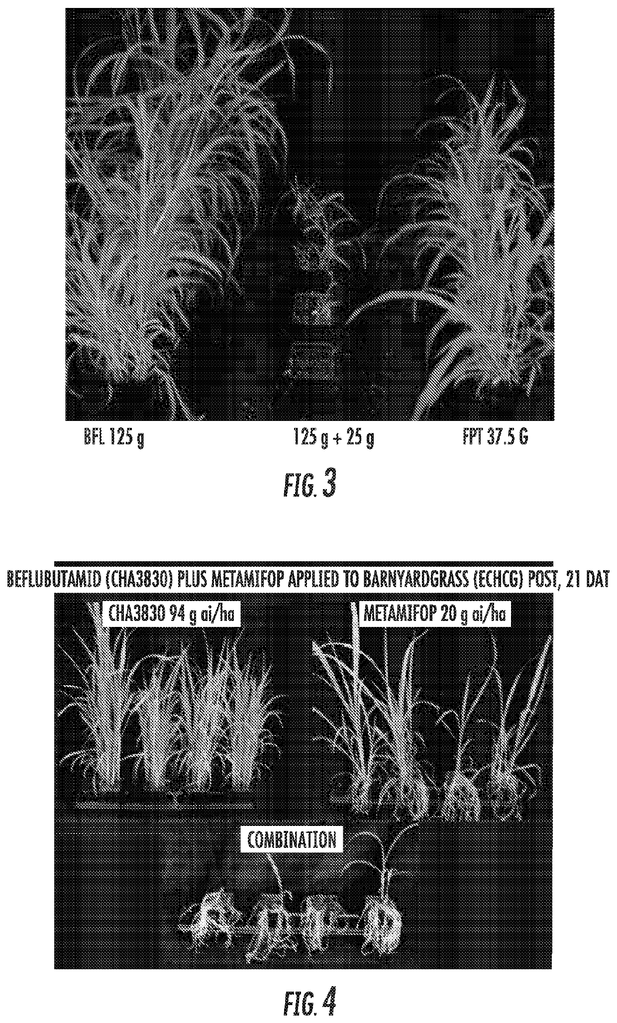 Mixtures of beflubutamid or optically enriched forms thereof with a second herbicide