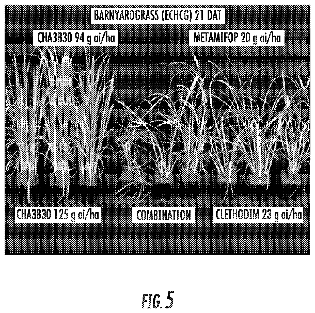 Mixtures of beflubutamid or optically enriched forms thereof with a second herbicide