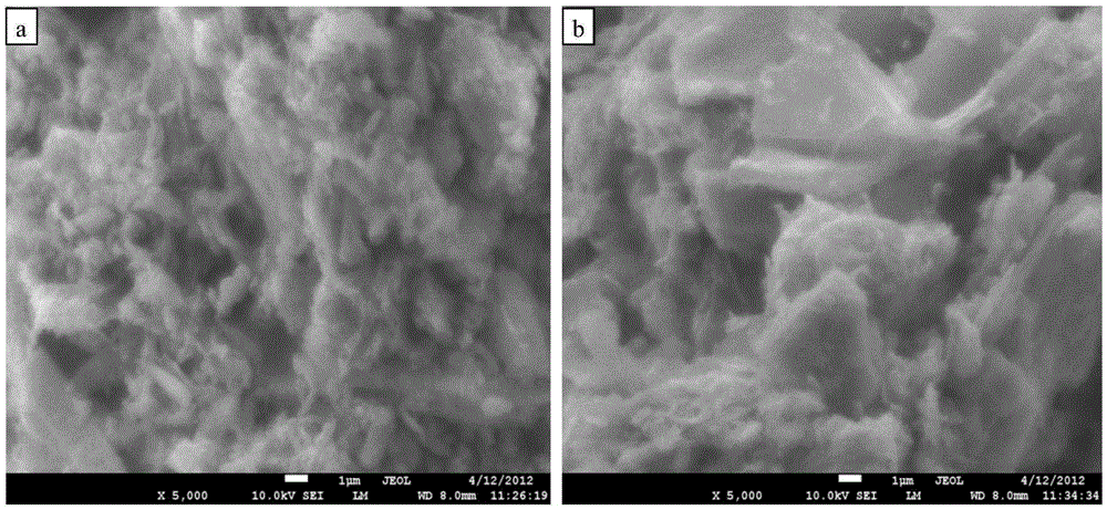 A kind of soil conditioner for preventing and controlling tobacco bacterial wilt and its application