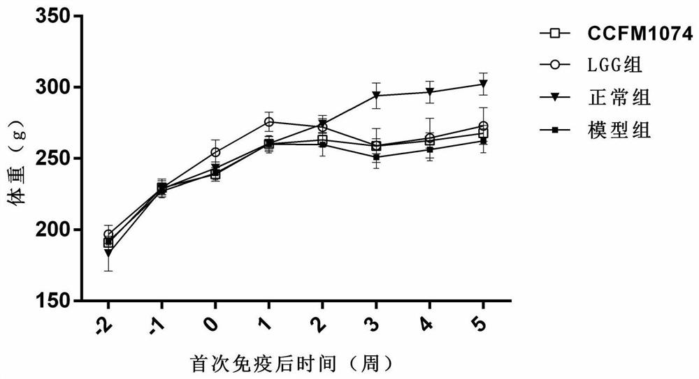 A strain of Lactobacillus casei that can alleviate rheumatoid arthritis and its application