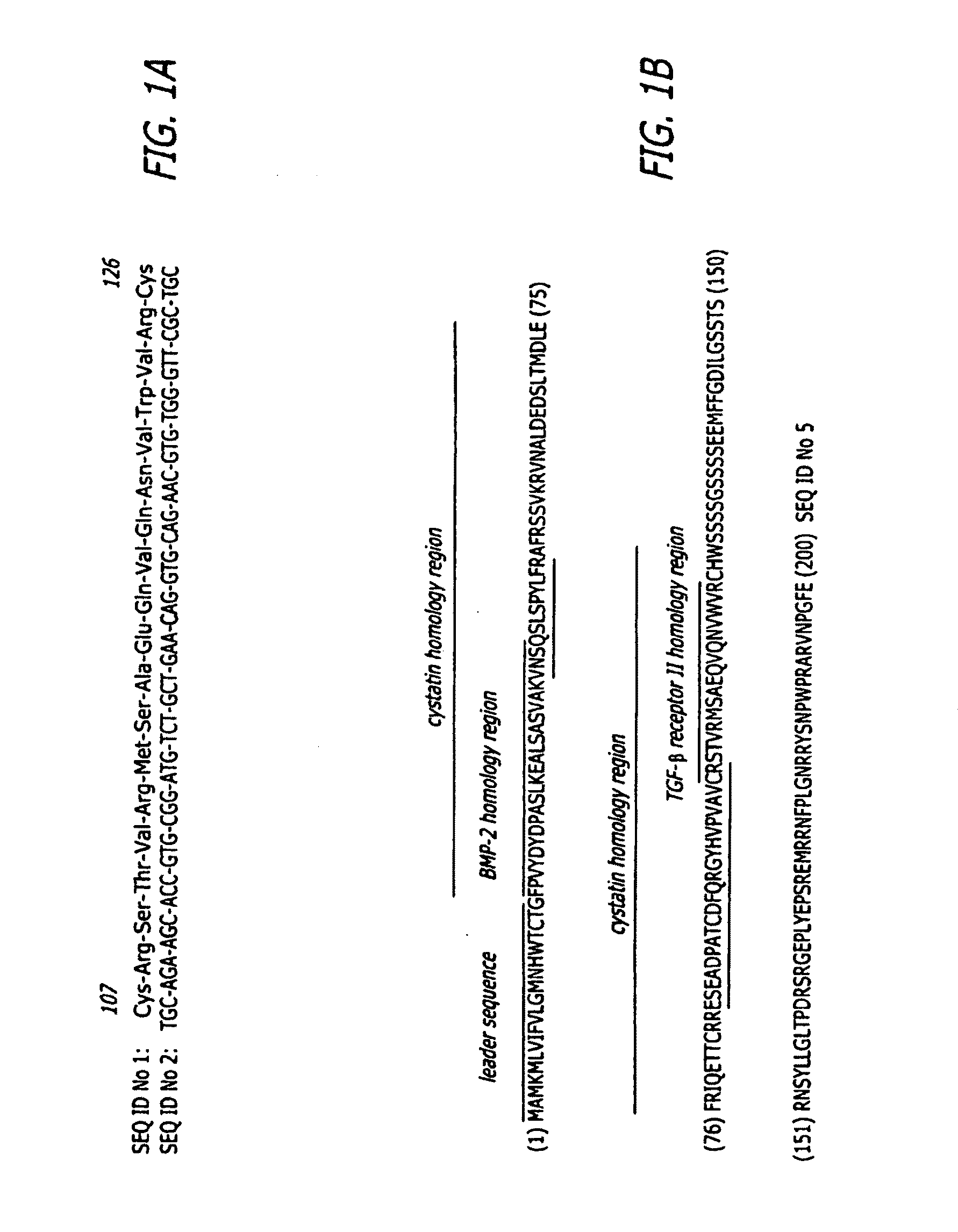 Surgical Applications for BMP Binding Protein