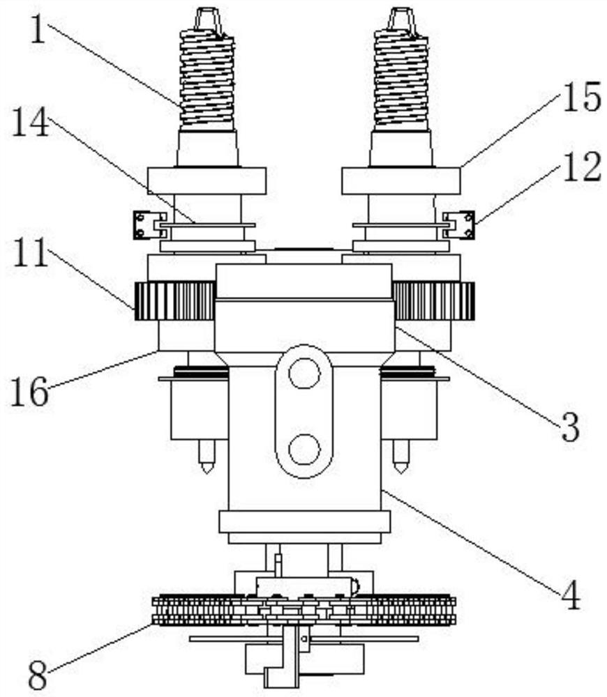 Nut preparation equipment