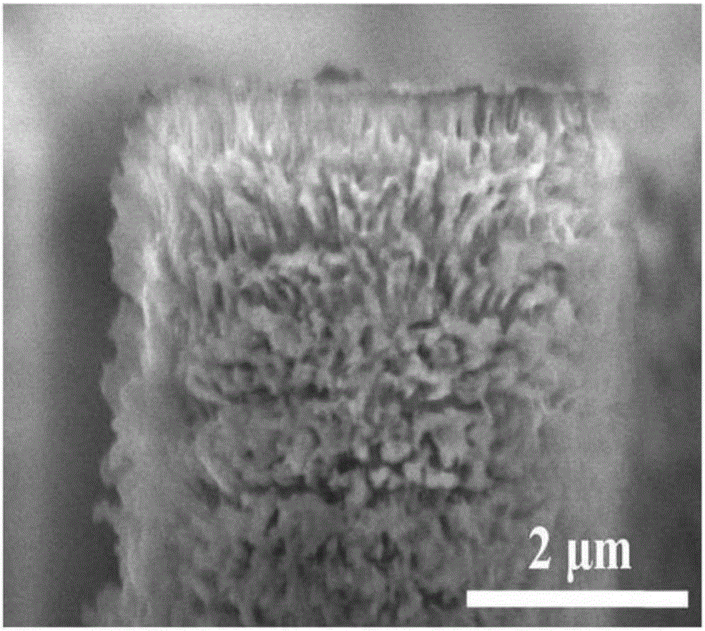 Preparation method for silicon photocatalyst with 3D multilevel structure