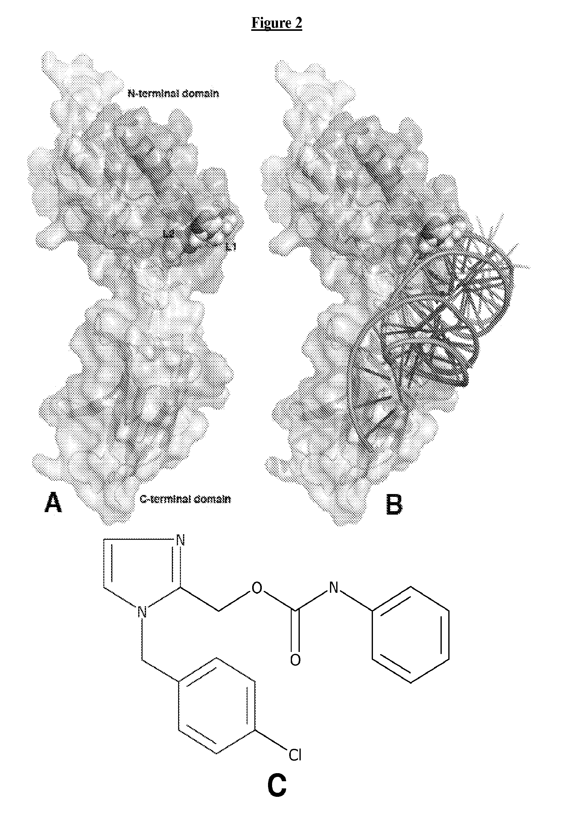 Rel inhibitors and methods of use thereof