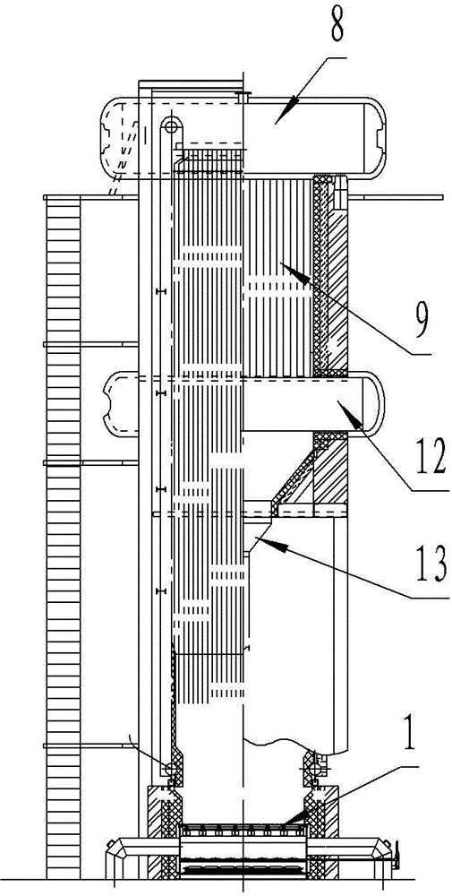 High-water-content biomass fuel boiler